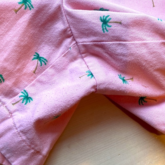 J Crew Palm Tree Embroidered Shorts - Picture 4 of 5